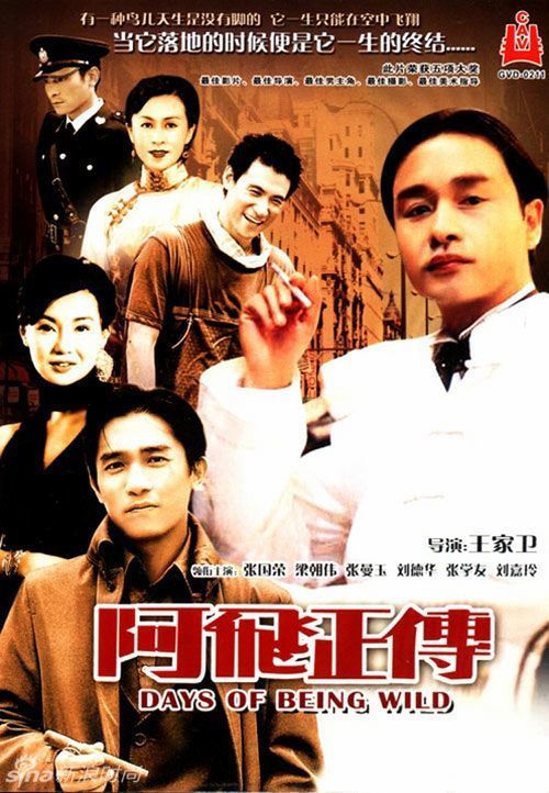 哈勒－维腾贝格大学商科文凭证书